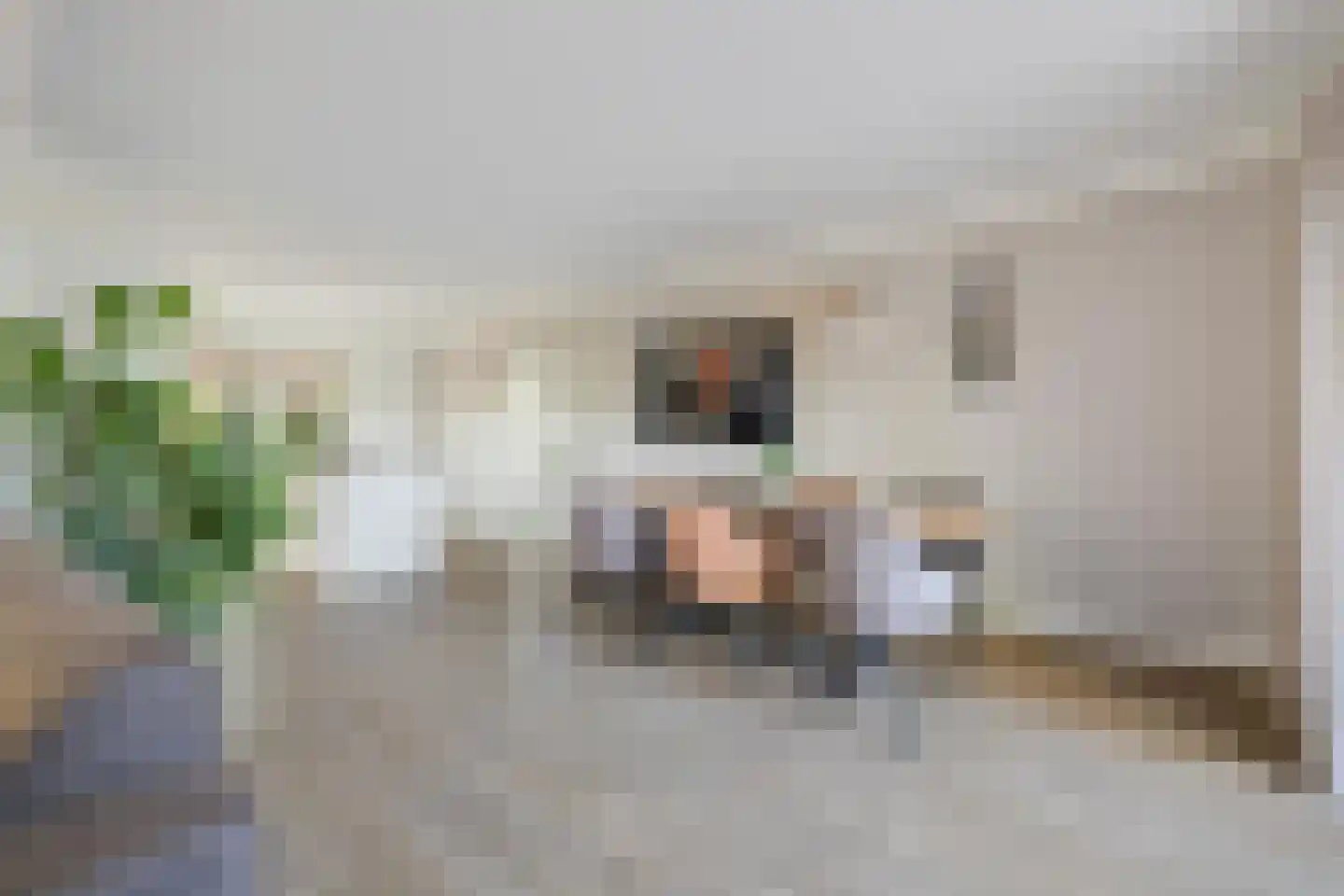 Zanddreef 36 Prinsenbeek thumbnail 22