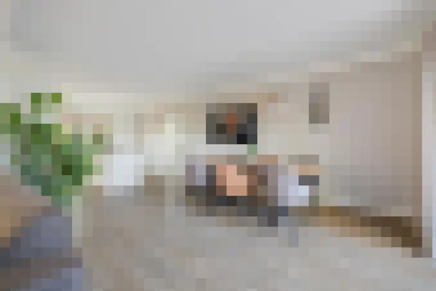 Zanddreef 36 Prinsenbeek thumbnail 23