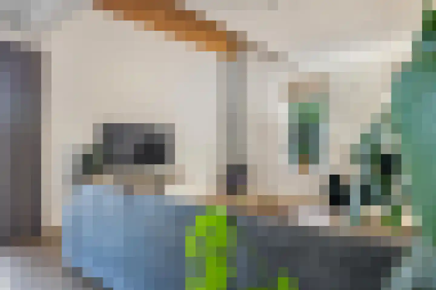 Zanddreef 36 Prinsenbeek thumbnail 25