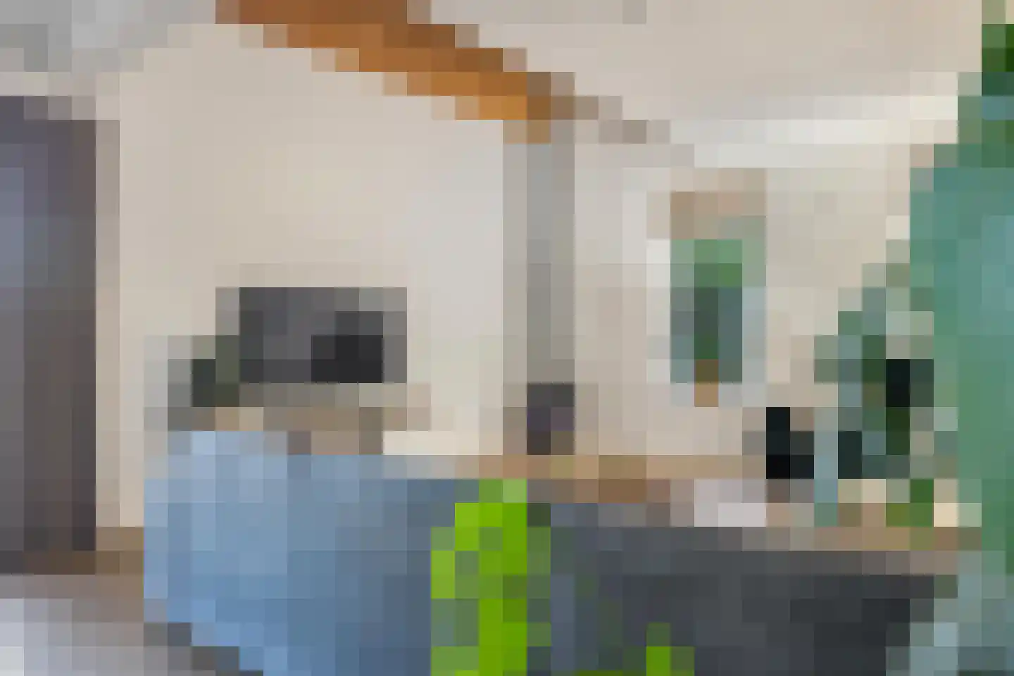 Zanddreef 36 Prinsenbeek thumbnail 26