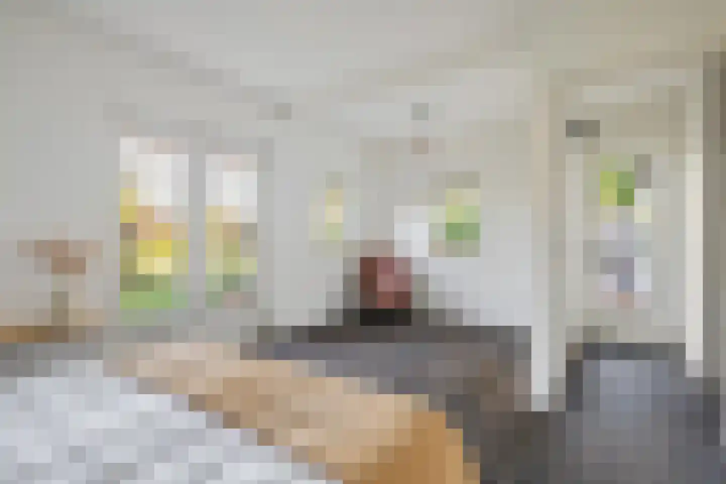 Zanddreef 36 Prinsenbeek thumbnail 36