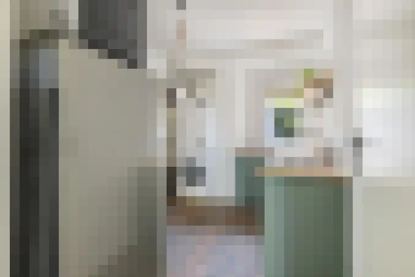 Zanddreef 36 Prinsenbeek thumbnail 37