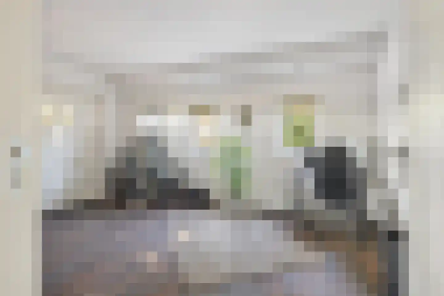 Zanddreef 36 Prinsenbeek thumbnail 40
