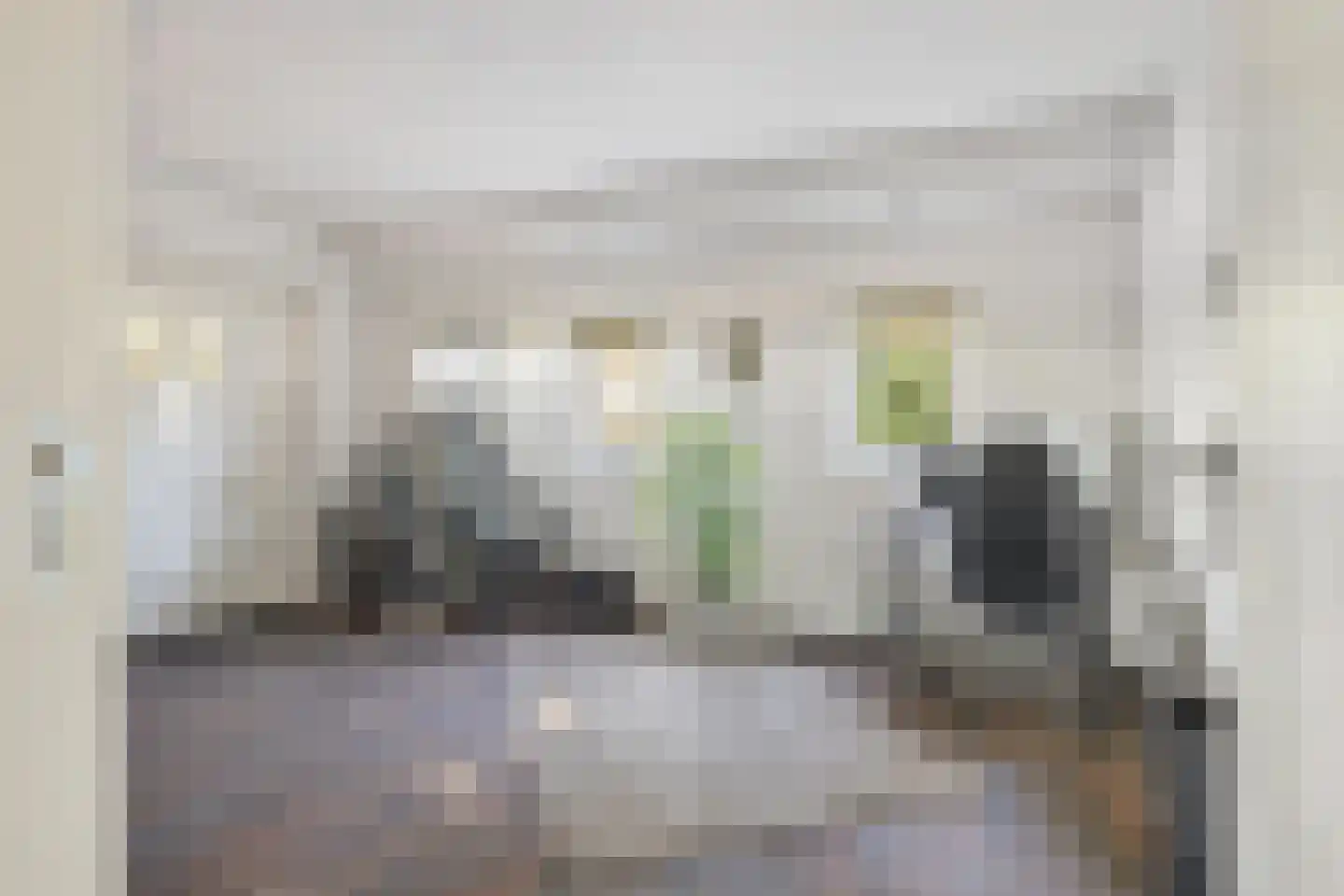Zanddreef 36 Prinsenbeek thumbnail 41