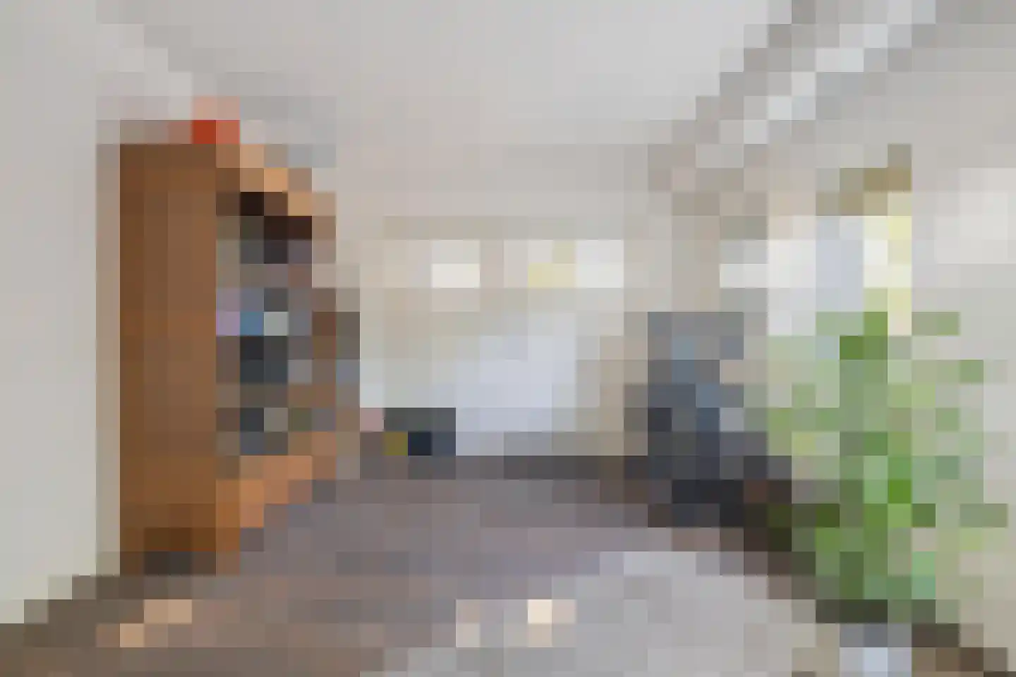 Zanddreef 36 Prinsenbeek thumbnail 41