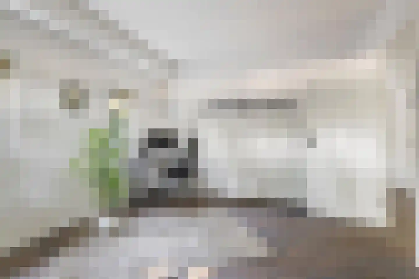 Zanddreef 36 Prinsenbeek thumbnail 42