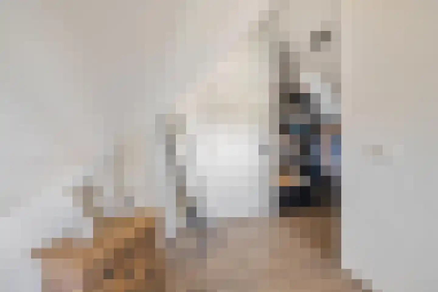 Zanddreef 36 Prinsenbeek thumbnail 46