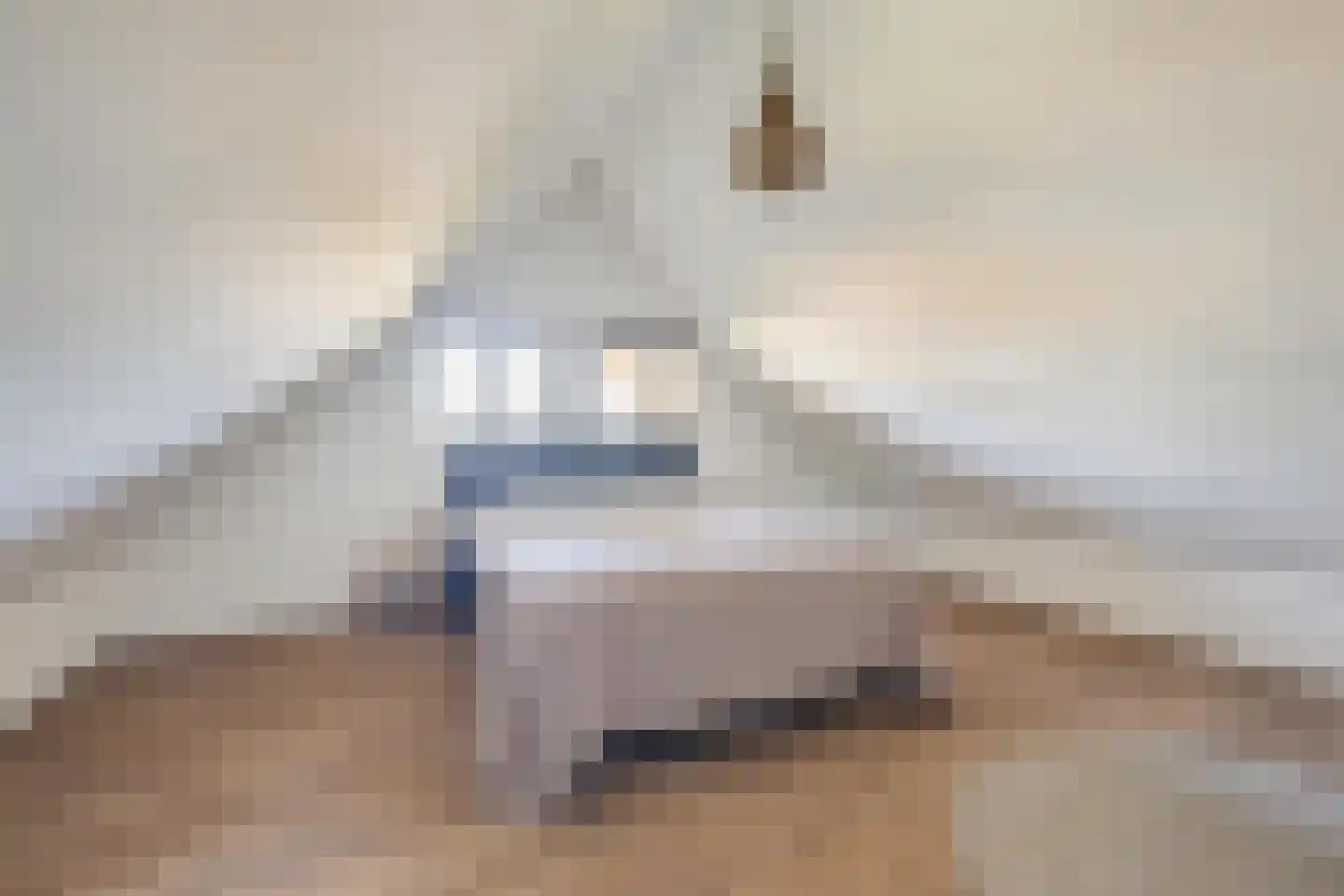 Zanddreef 36 Prinsenbeek thumbnail 48