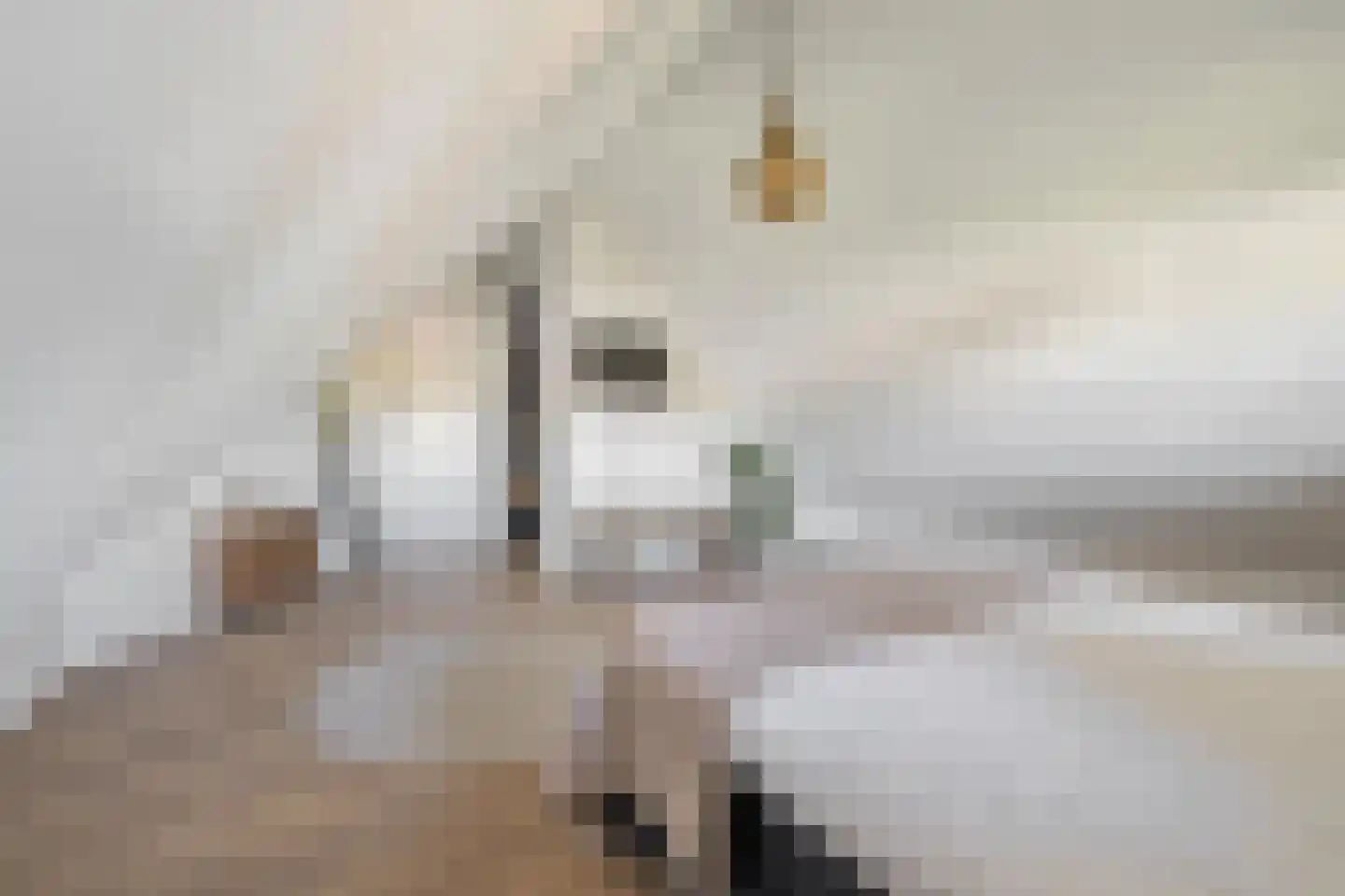 Zanddreef 36 Prinsenbeek thumbnail 49