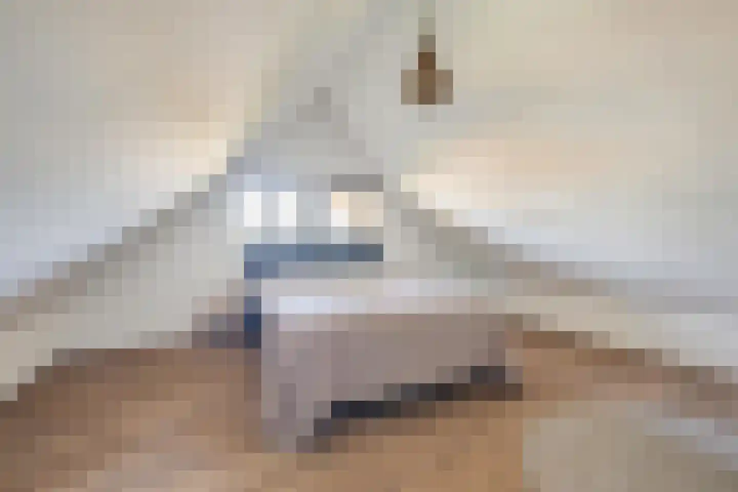 Zanddreef 36 Prinsenbeek thumbnail 49