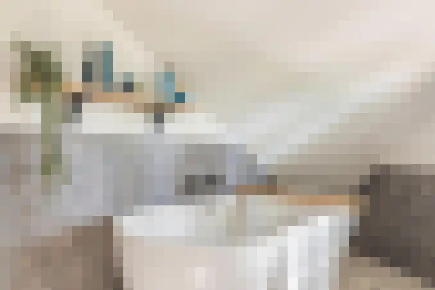 Zanddreef 36 Prinsenbeek thumbnail 69