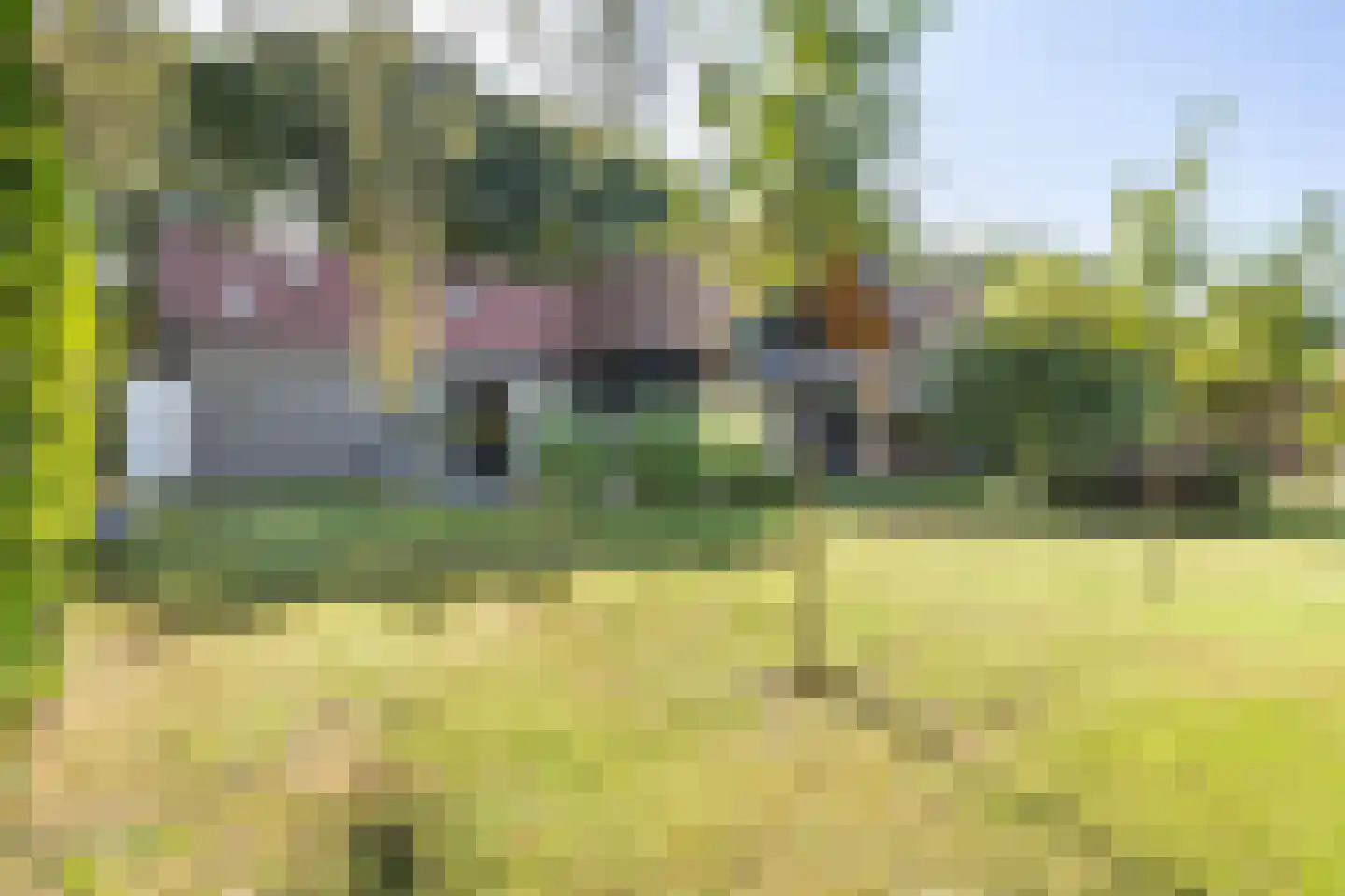 Zanddreef 36 Prinsenbeek thumbnail 76