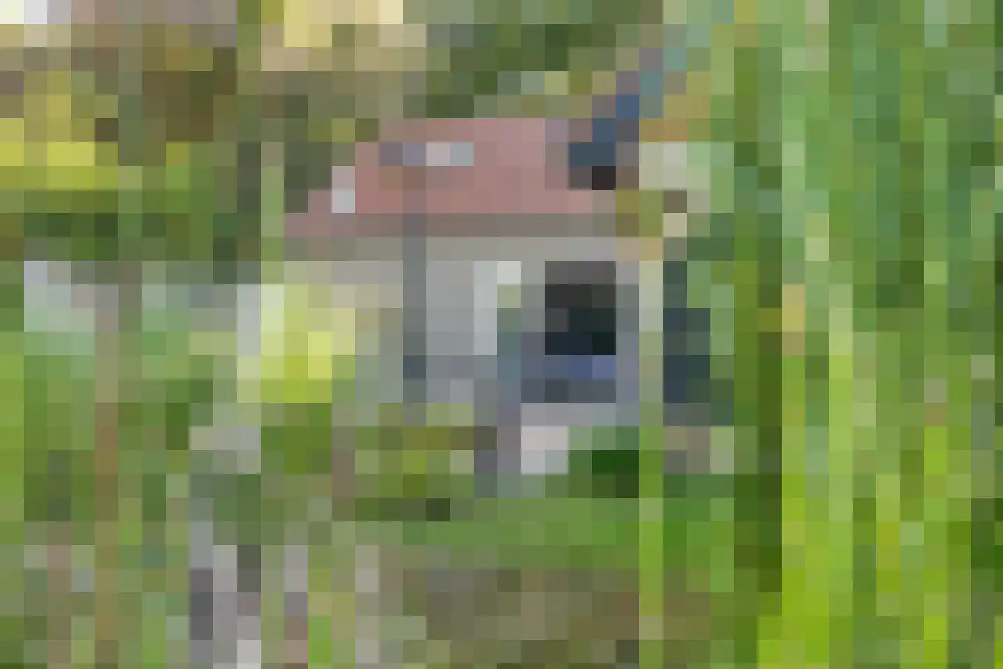 Zanddreef 36 Prinsenbeek thumbnail 78