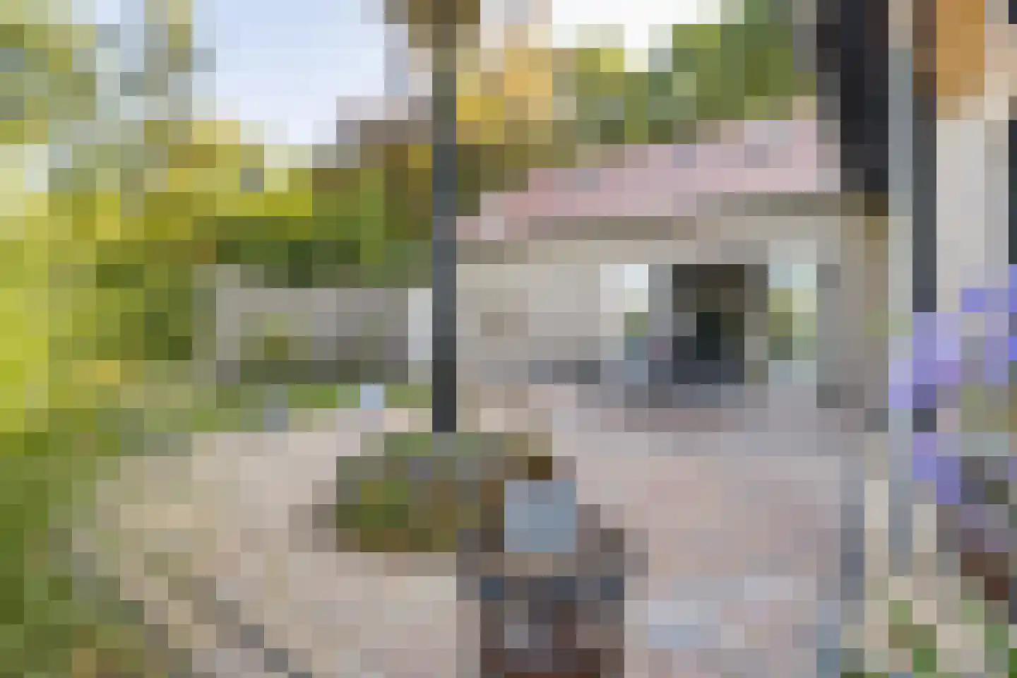 Zanddreef 36 Prinsenbeek thumbnail 83