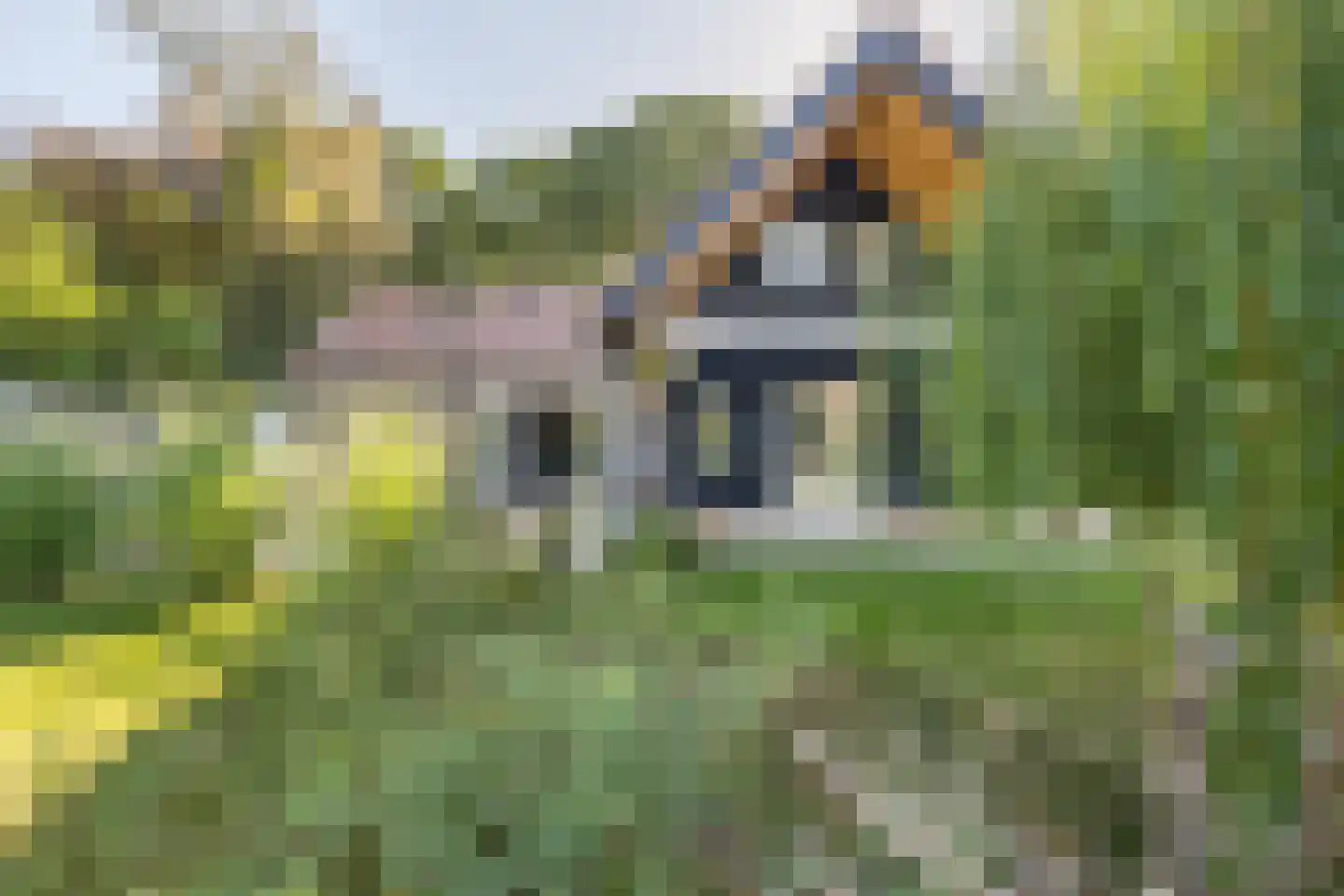 Zanddreef 36 Prinsenbeek thumbnail 85