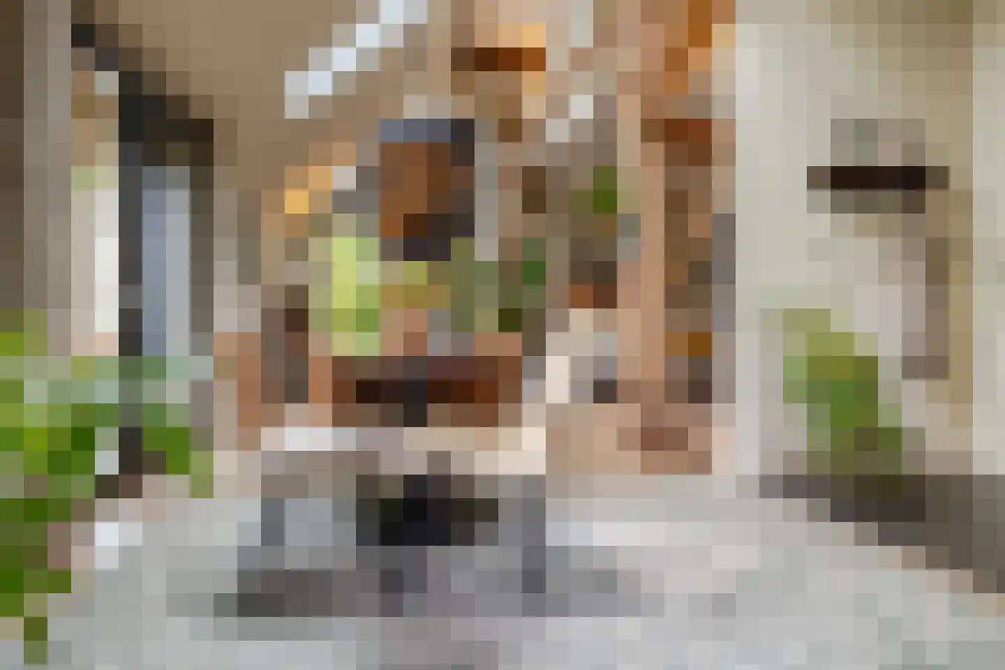 Zanddreef 41 A Breda thumbnail 10