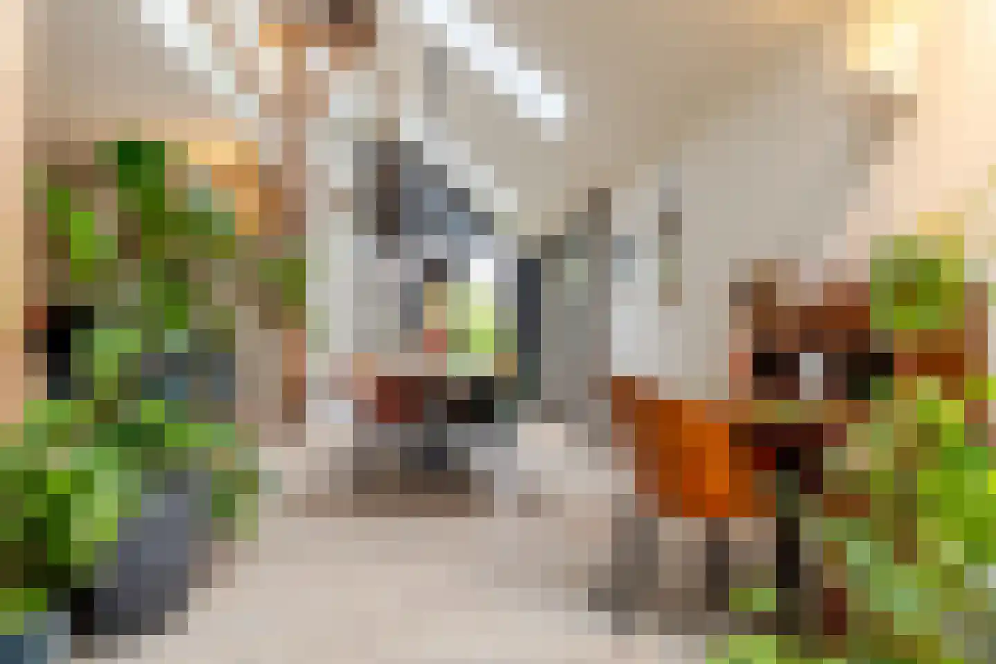 Zanddreef 41 A Breda thumbnail 11
