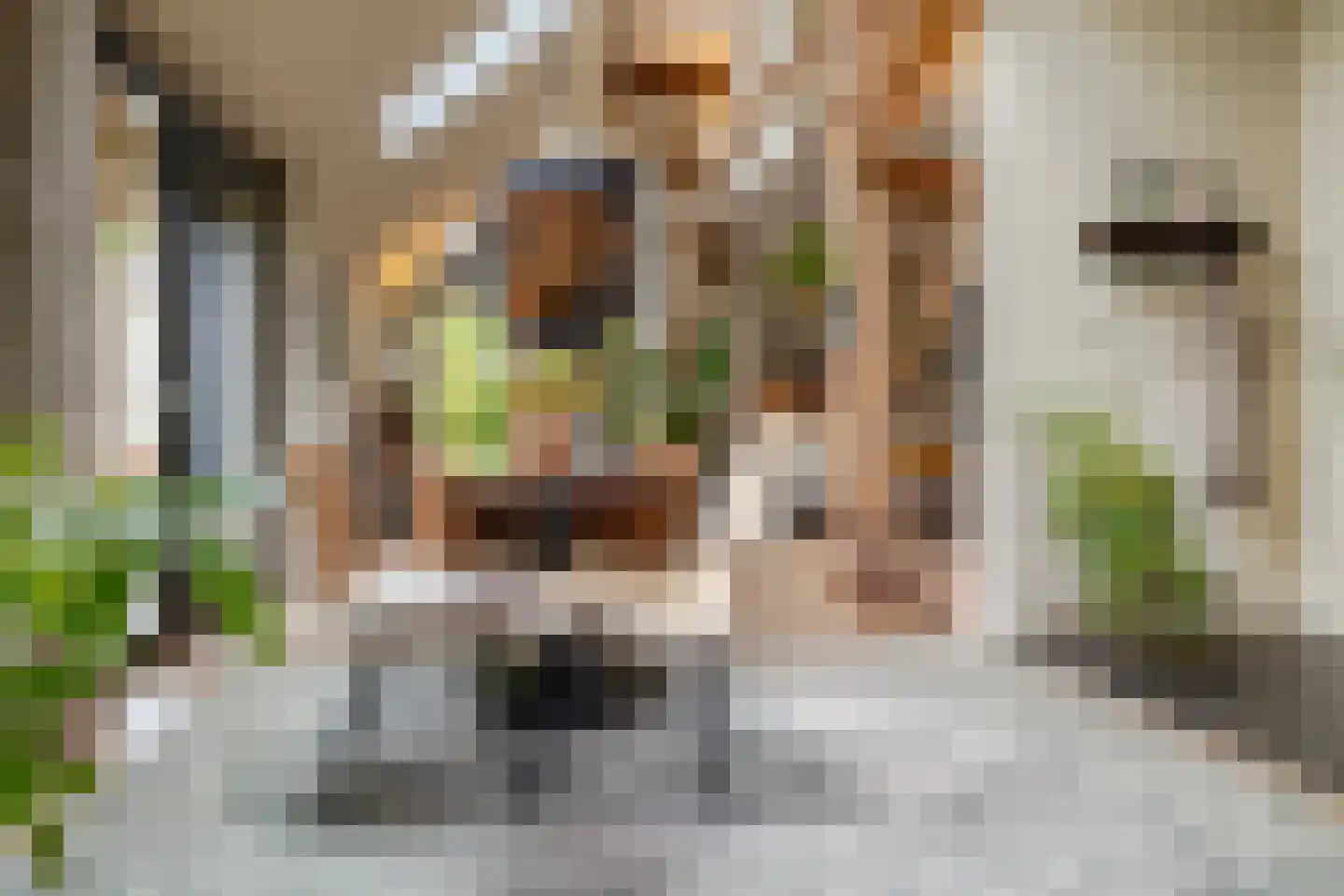 Zanddreef 41 A Breda thumbnail 18