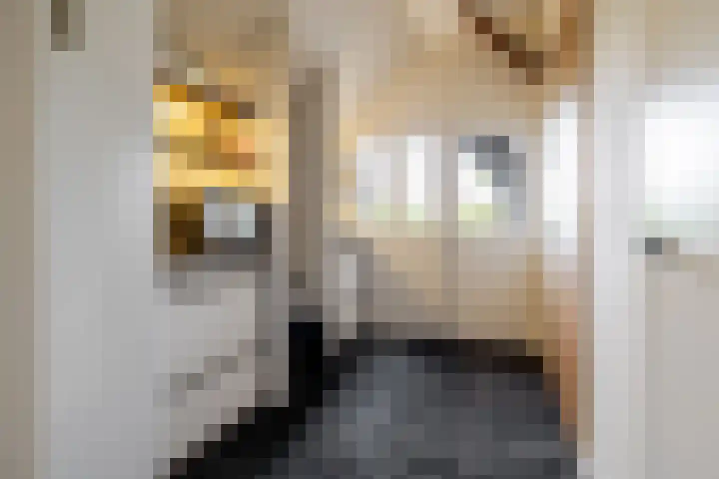 Zanddreef 41 A Breda thumbnail 23