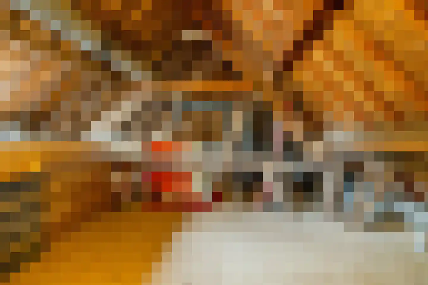 Zanddreef 41 A Breda thumbnail 23