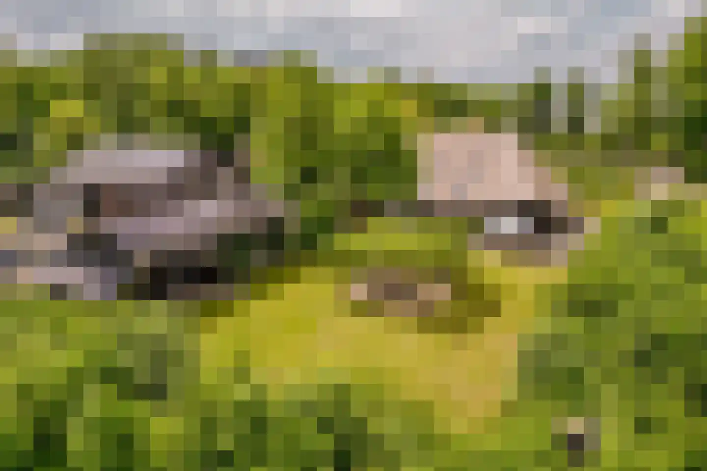 Zanddreef 41 A Breda thumbnail 26