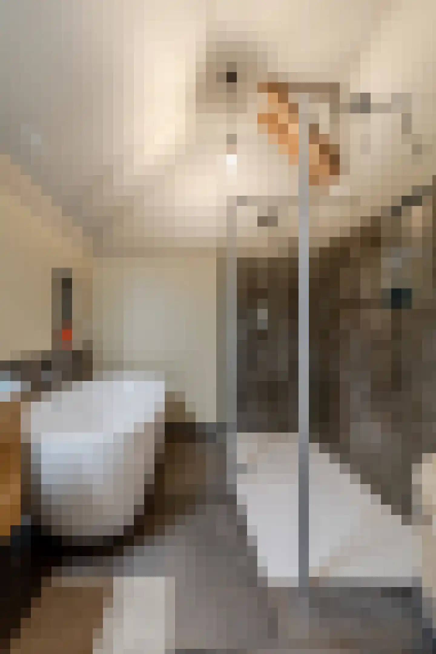 Zanddreef 41 A Breda thumbnail 31