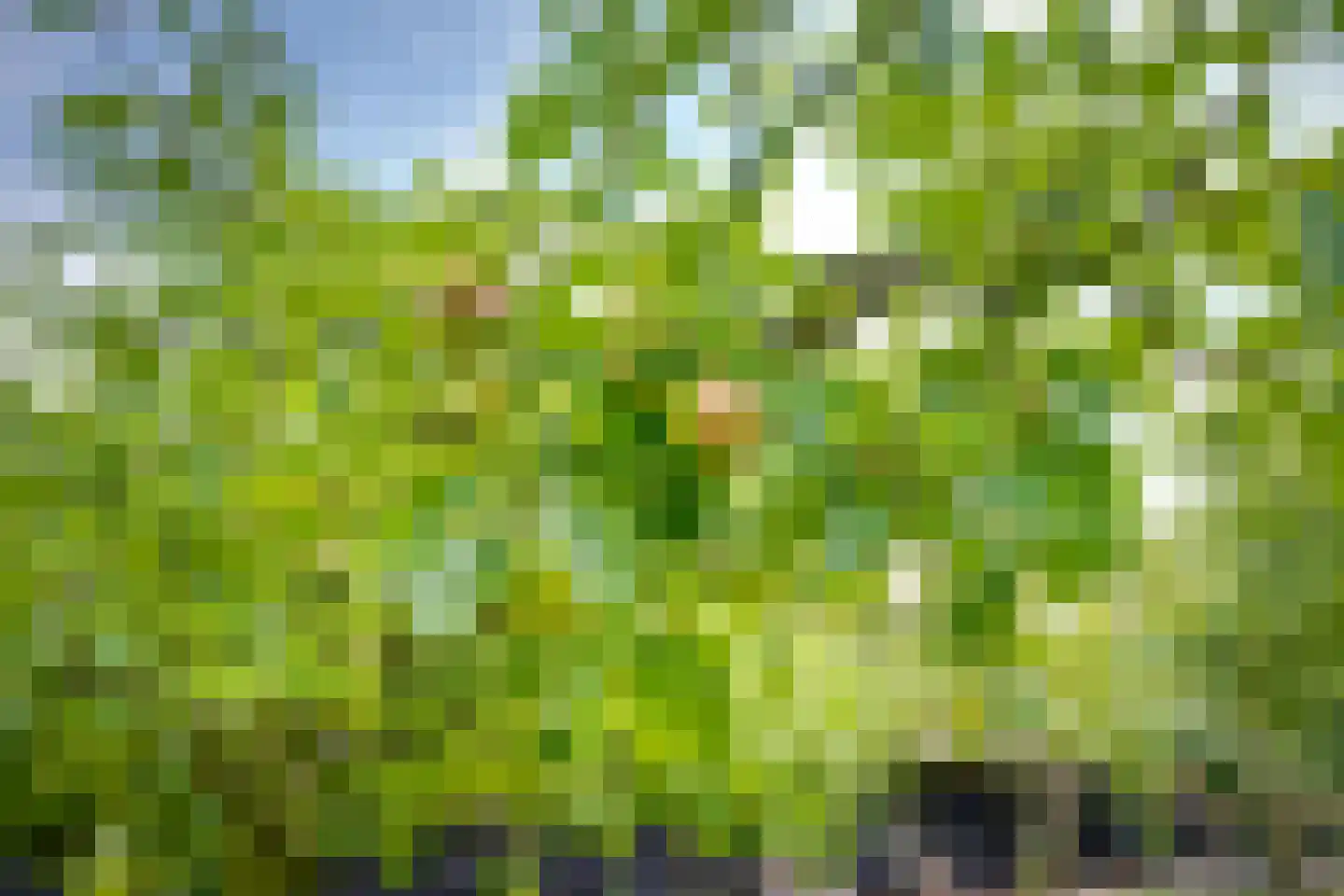 Zanddreef 41 A Breda thumbnail 45