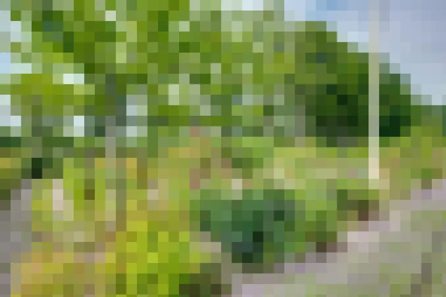 Zanddreef 41 A Breda thumbnail 47