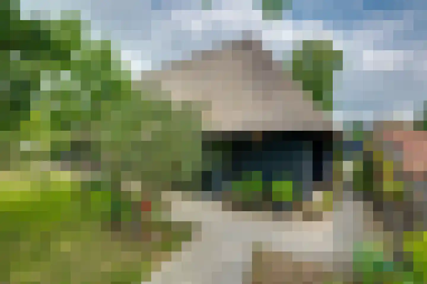 Zanddreef 41 A Breda thumbnail 7