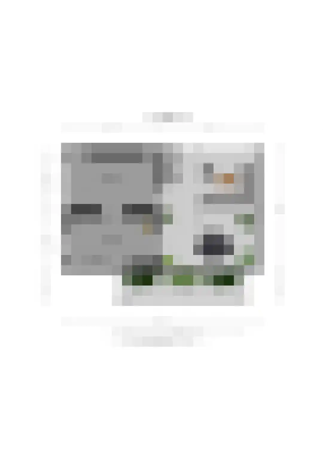Zanddreef 41 A Breda thumbnail 75