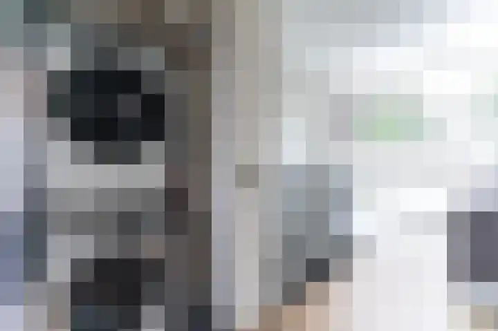 Zanddreef 76 Eindhoven thumbnail 20