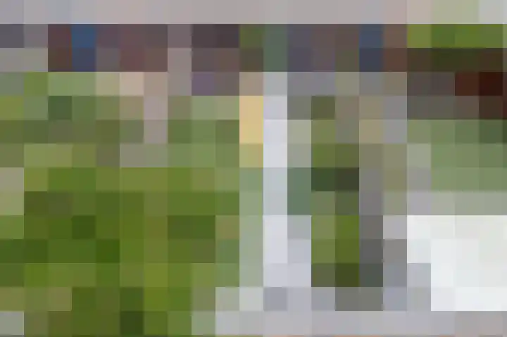 Zanddreef 76 Eindhoven thumbnail 28
