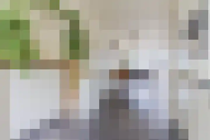 Zanddreef 92 Eindhoven thumbnail 10
