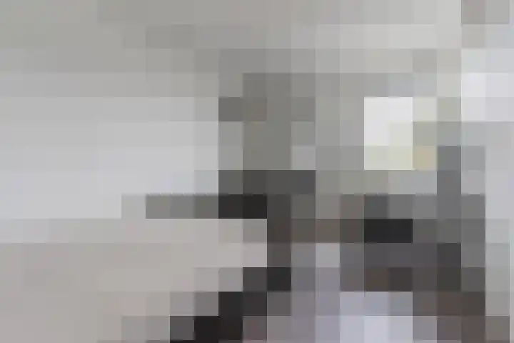 Zanddreef 92 Eindhoven thumbnail 14