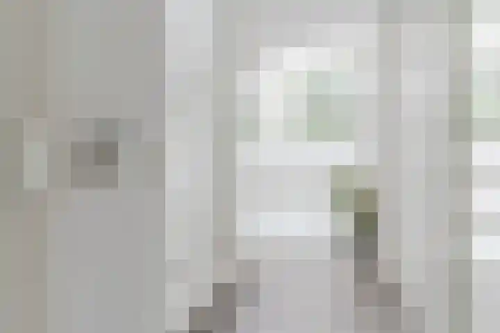 Zanddreef 92 Eindhoven thumbnail 21