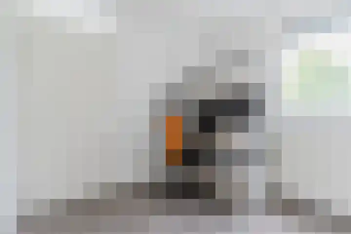 Zanddreef 92 Eindhoven thumbnail 26