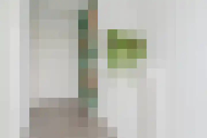Zanddreef 92 Eindhoven thumbnail 31