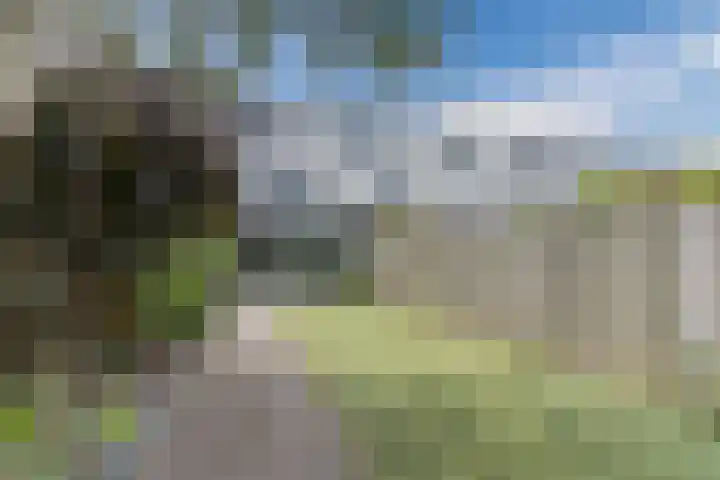 Zanddreef 92 Eindhoven thumbnail 33