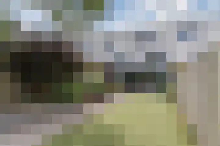 Zanddreef 92 Eindhoven thumbnail 37