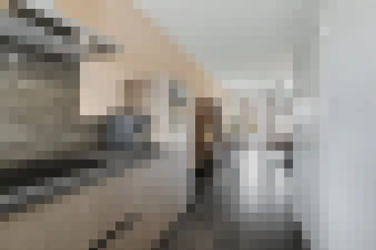 Zanddries 8 Casteren thumbnail 12