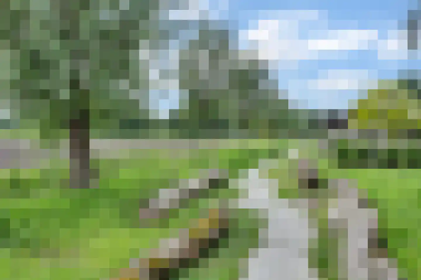 Zanddries 8 Casteren thumbnail 30