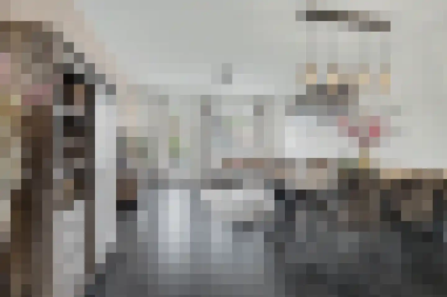 Zanddries 8 Casteren thumbnail 4