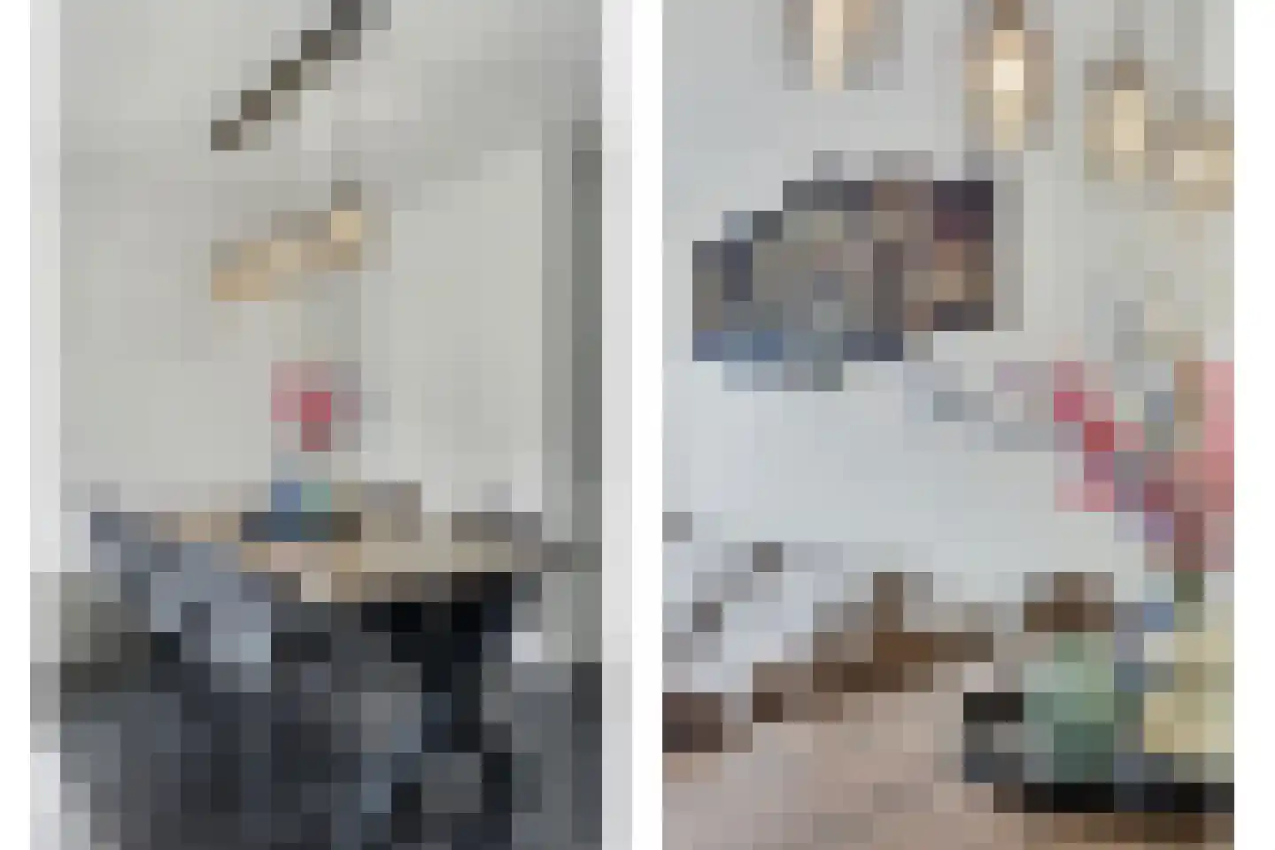 Zanddries 8 Casteren thumbnail 6