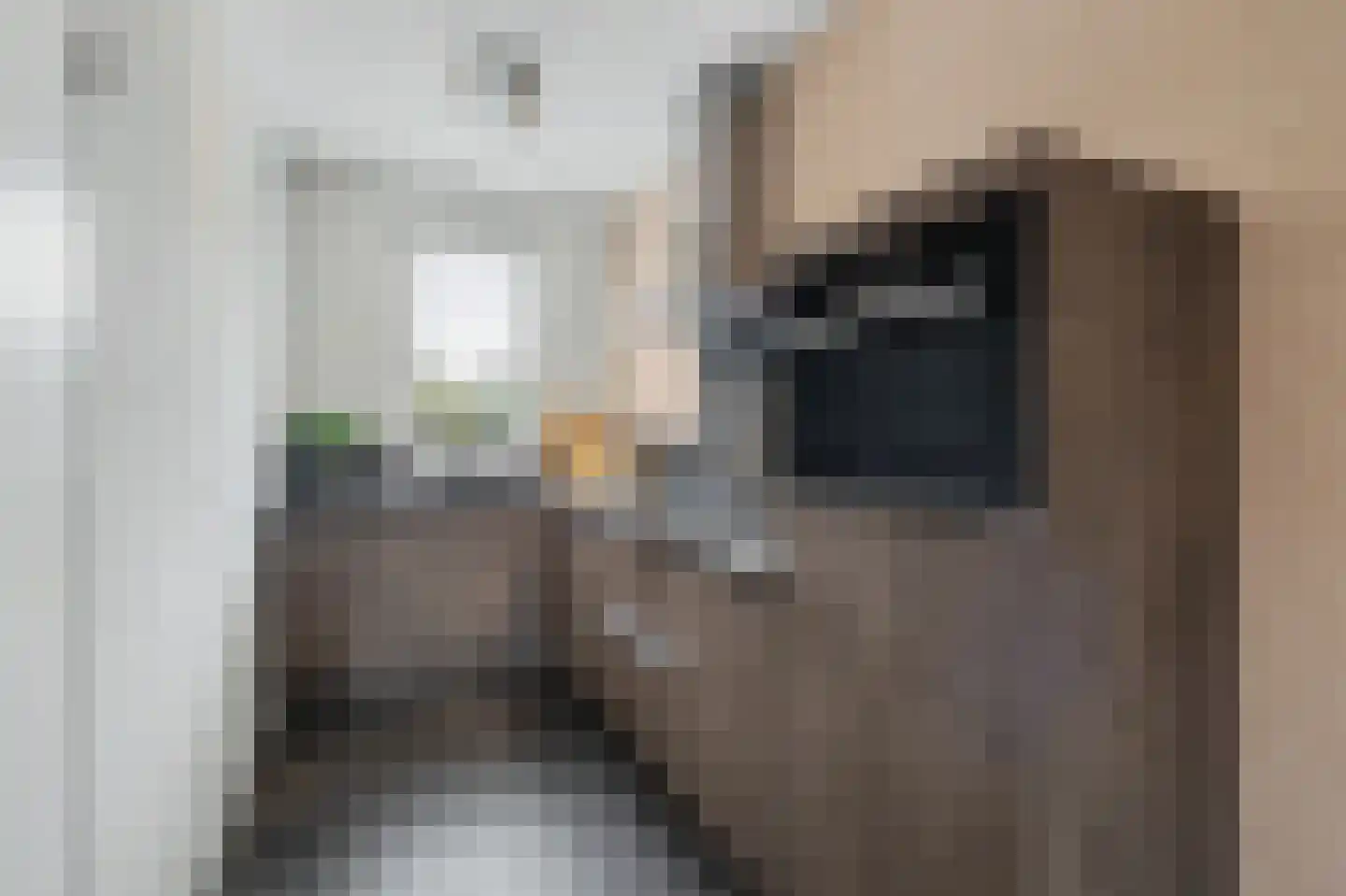 Zanddries 8 Casteren thumbnail 9