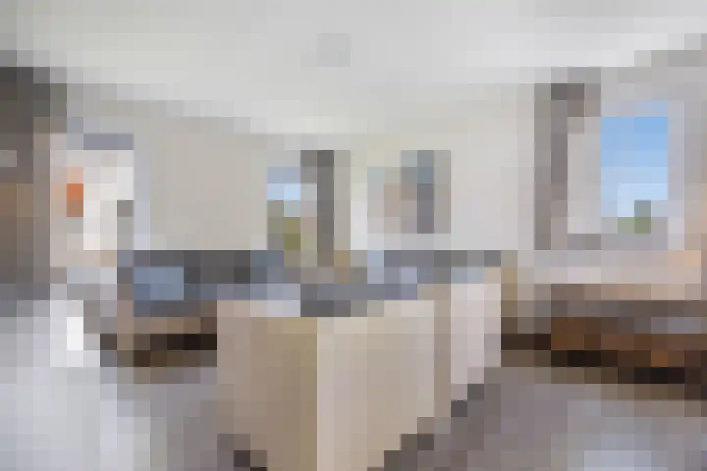 Zandduynen 14 Cadzand thumbnail 13