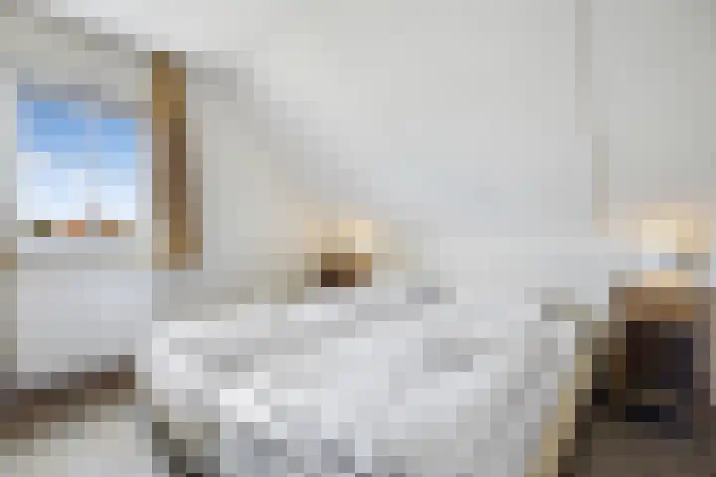Zandduynen 14 Cadzand thumbnail 20