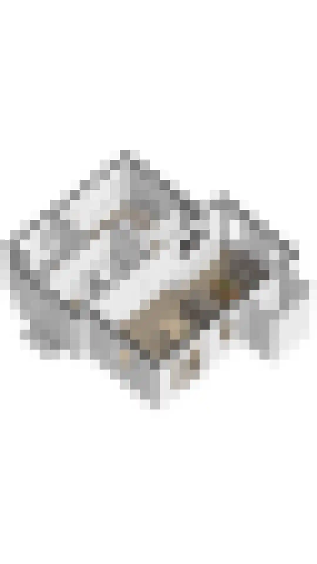 Zandduynen 14 Cadzand thumbnail 33
