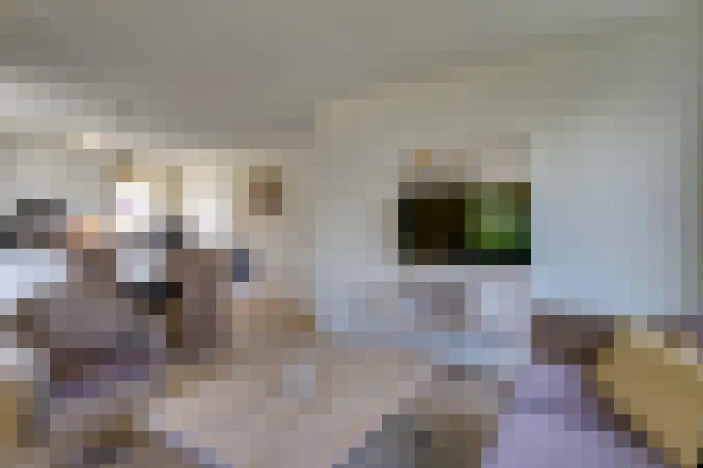 Zandduynen 21 Cadzand thumbnail 11