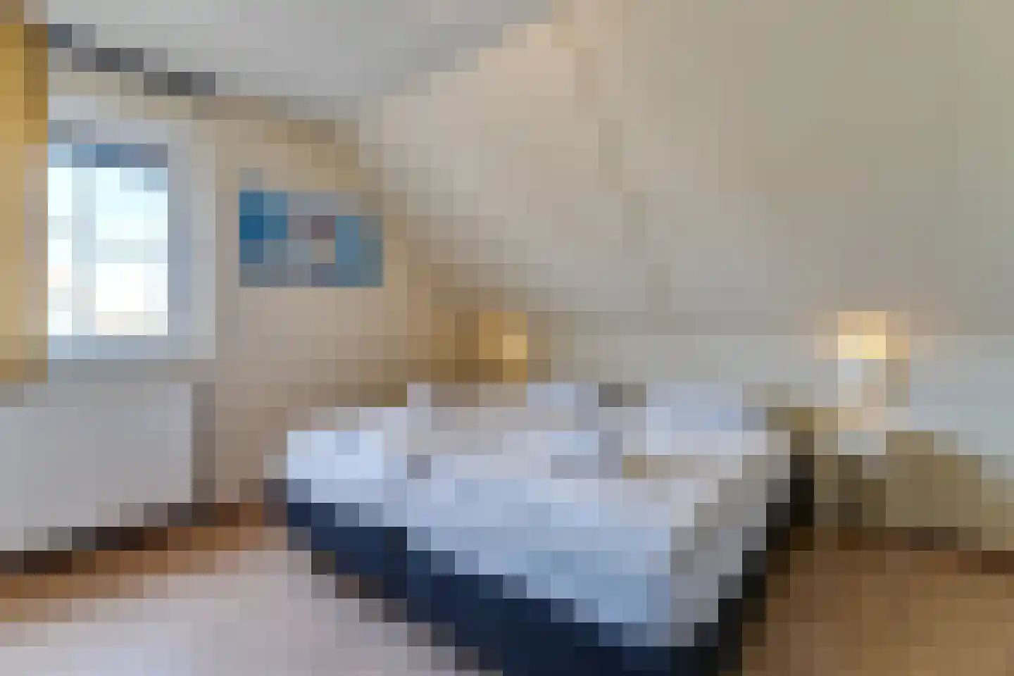 Zandduynen 21 Cadzand thumbnail 19
