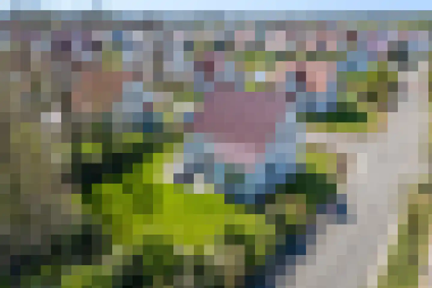 Zandduynen 21 Cadzand thumbnail 28
